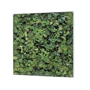 グリーンフレーム スクエアA [フェイクグリーン]