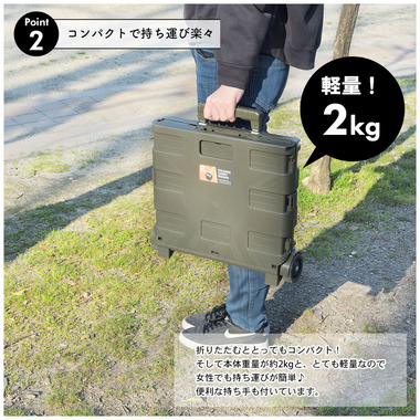 フォールディングキャリーワゴン - 画像 (3)