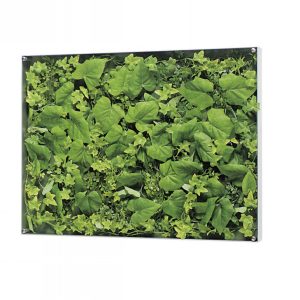 グリーンフレーム レクタングルB [フェイクグリーン]