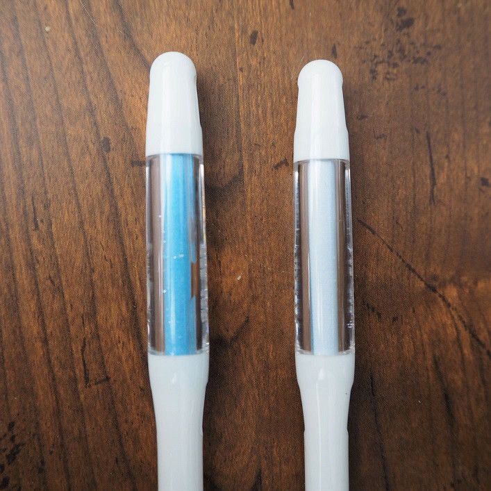 インテリア観葉 コウモリラン 信楽焼ポット白 水やりメーター付き - 画像 (3)