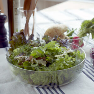 リューズガラス シャローボウル